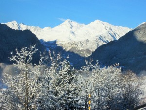 IMG_2346