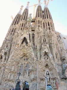 IMG_2442