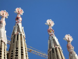 IMG_2450