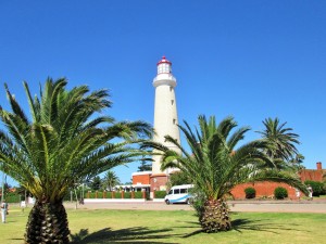 IMG_2951